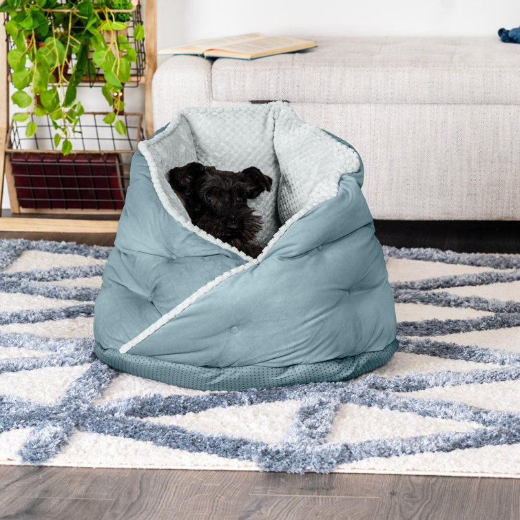 Minky best sale dog blanket